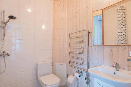 普拉特利艾Vila RUNA的一间带卫生间、水槽和镜子的浴室