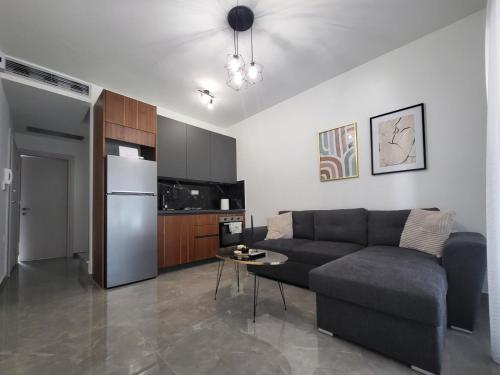 尼亚普拉莫斯Thἕros Exceptional Residence的带沙发的客厅和厨房