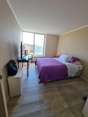 阿尔加罗沃Laguna Bahia的一间卧室配有一张床、一张书桌和一个窗户。