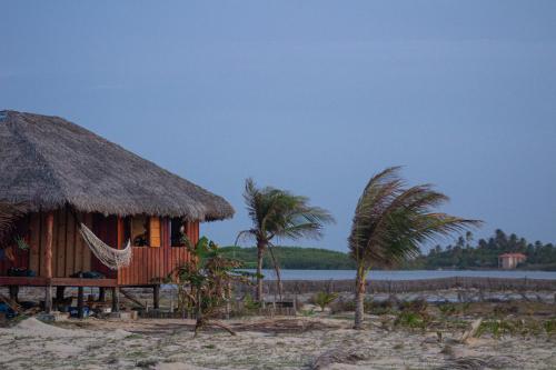 图托亚Pousada Amor Do Arpoador的棕榈树海滩上的小屋