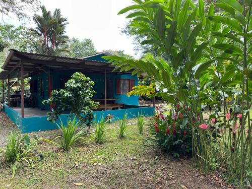 卡维塔Mono Azul Cahuita的花园中的一个蓝色房子
