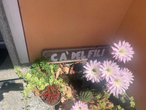 伦诺Cà del Fili的花边旁有加德利的标志