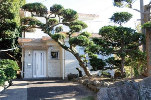 壹岐市Watatsumi no Yado 1981 - Vacation STAY 55945v的前面有一棵树的房子