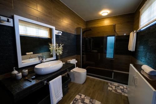 格兰贝伊Preety Blue Residence villas的一间带水槽、卫生间和淋浴的浴室