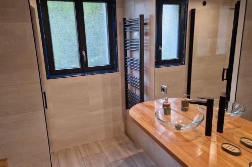 VicdessosAriège, agréable appartement en bord de rivière的一间带玻璃水槽和淋浴的浴室