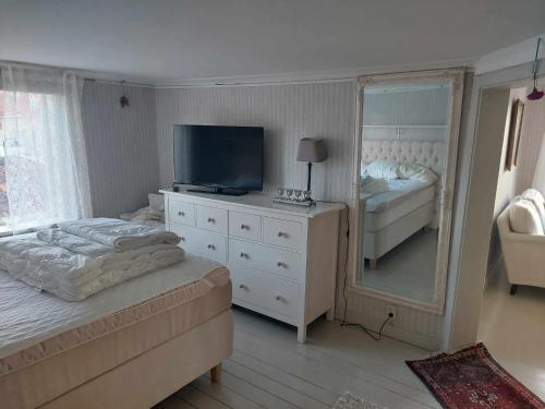 瓦斯泰纳Vadstena semesterlägenhet的一间卧室配有一张床、一台电视和一面镜子