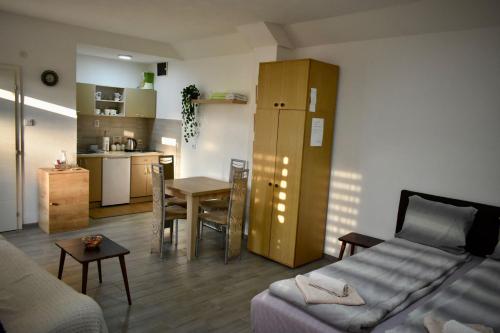 巴伊纳巴什塔Petković apartman的带沙发和桌子的客厅以及厨房。