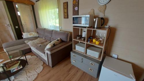 ToriTuka Talu Soomaa piirkonnas的带沙发和微波炉的客厅