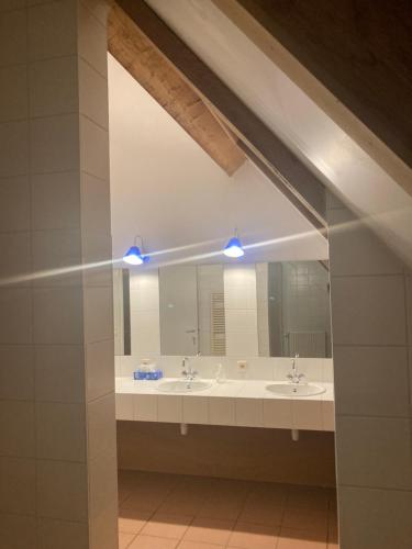 GenappeLa Ferme Saint Pierre de Glabais的一间带两个盥洗盆和大镜子的浴室