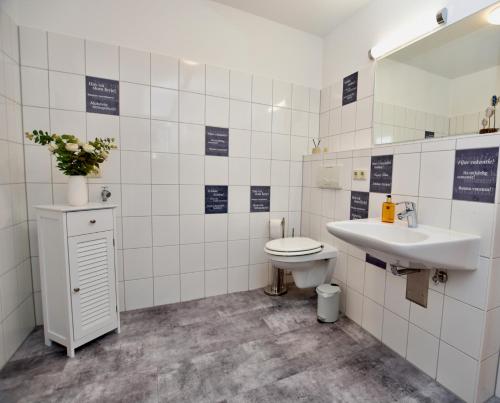 卢布明Apartment "OCEANVIEW"的一间带水槽和卫生间的浴室