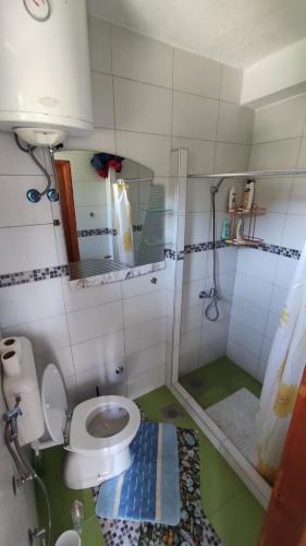 伊利扎Curovac Nature的一间带卫生间和淋浴的小浴室