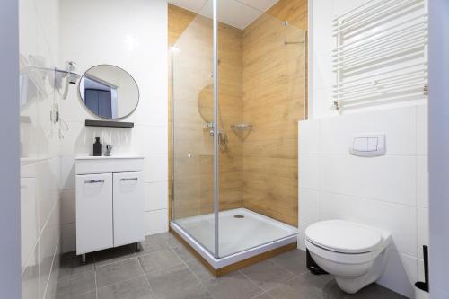 格但斯克Moon Apartments Gdańsk的带淋浴、卫生间和镜子的浴室