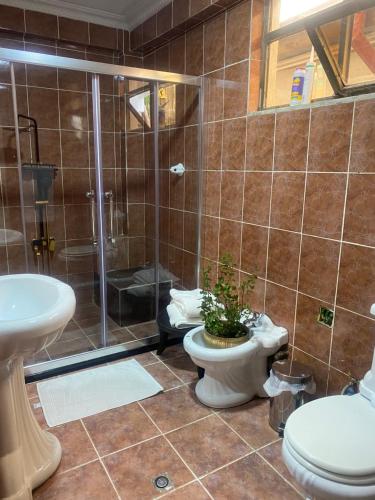 亚的斯亚贝巴Kefetew Guest House的带淋浴、卫生间和盥洗盆的浴室
