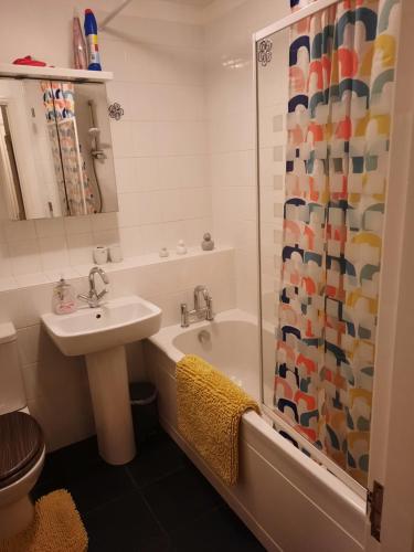 达灵顿Redmire - 2 bed 1st floor flat overlooking green的一间带水槽、卫生间和淋浴的浴室