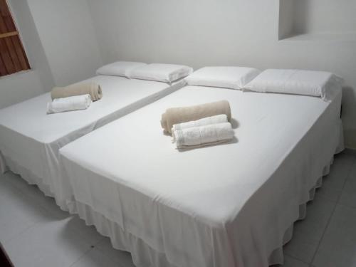 皮拉尼亚斯Casa Bela Vista的客房内的两张床和毛巾