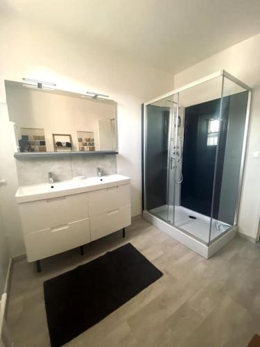 NazellesFleur de lys, Nazelle-Négron的带淋浴、盥洗盆和镜子的浴室