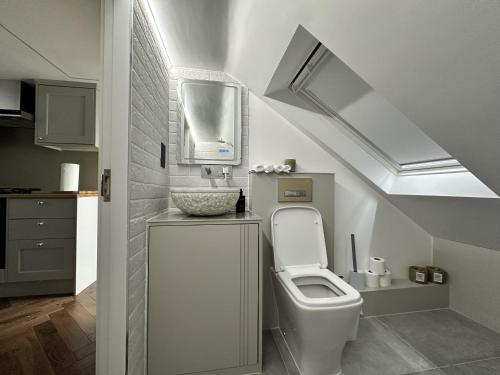 巴尔内特Super deluxe apartment的浴室设有卫生间、水槽和镜子