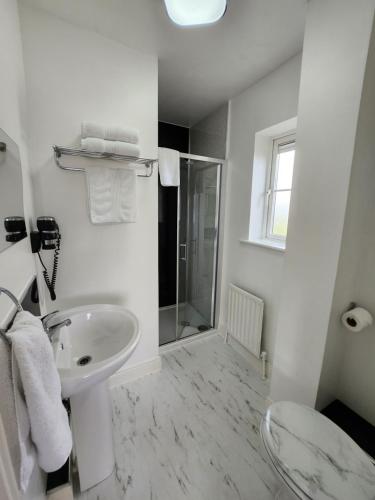 都柏林Lovely Private Room的白色的浴室设有水槽和淋浴。