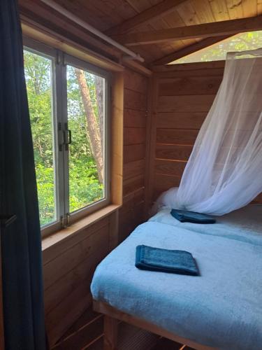 RijsbergenBoomhut的配有窗户的小木屋内的一张床位