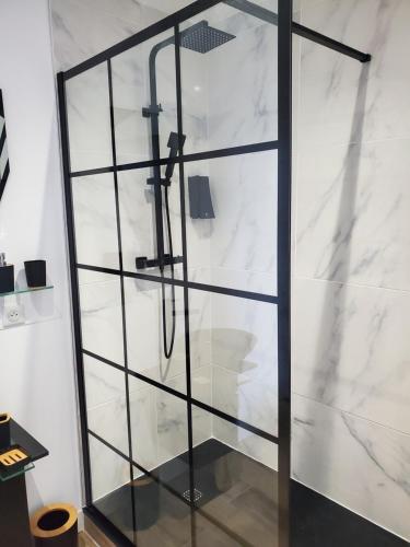 巴斯蒂亚Chambre d'Hôte Straboni的浴室设有玻璃架淋浴