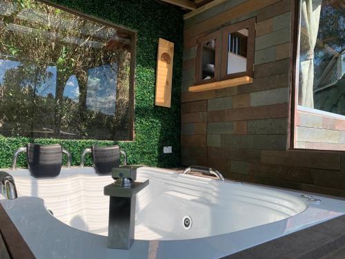 里奥内格罗PrivaDome的带浴缸的浴室和绿色的墙壁