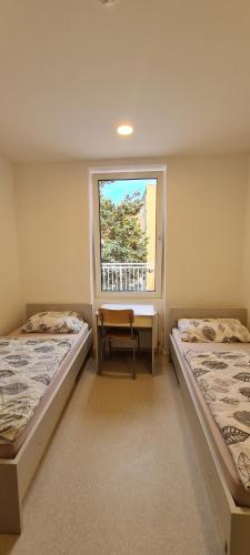 萨格勒布Zagreb budget rooms的带窗户的客房内的两张床