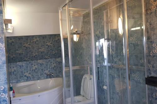 斯塔万格Large House in Central Stavanger的带淋浴、浴缸和卫生间的浴室