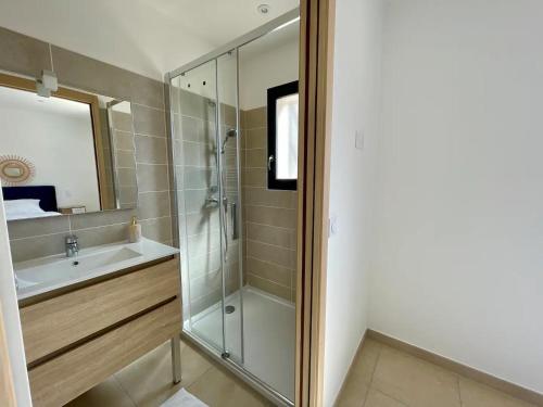 阿尔勒Casa del Sol - Piscine chauffée的带淋浴、盥洗盆和镜子的浴室