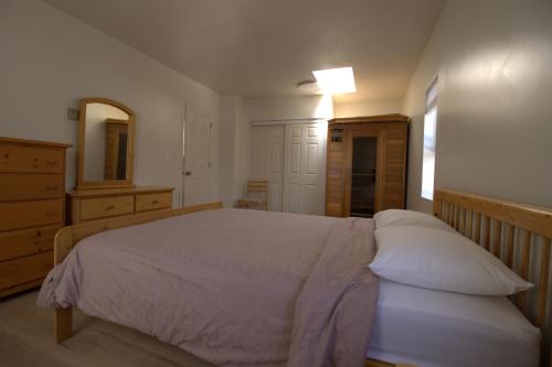 BowserPenthouse的一间卧室配有一张床、梳妆台和镜子