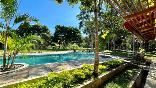 塔拉波托Villa Sebastiana Bungalows的棕榈树公园内的游泳池