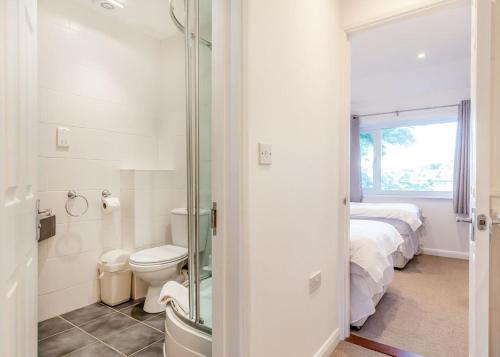 纽基Amazing Home In Newquay With Indoor Swimming Pool, Wifi And Heated Swimming Pool的带淋浴和卫生间的浴室。