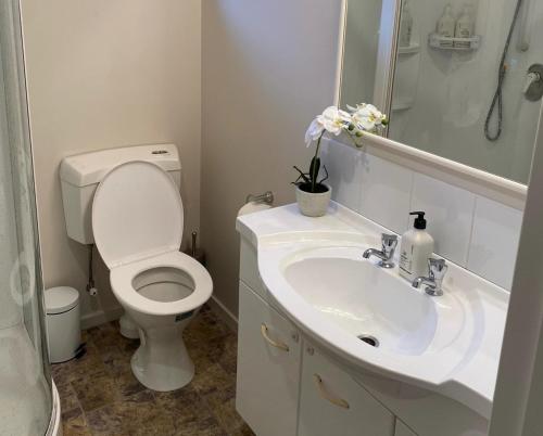 皇后镇Frankton Favourite - Queenstown Holiday Home的白色的浴室设有卫生间和水槽。