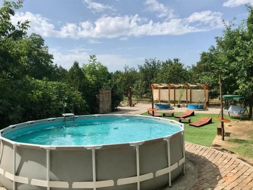Mokrinetno kuća Đeram的庭院里的大型游泳池配有椅子和桌子
