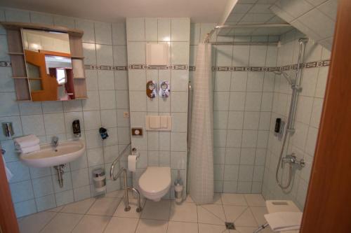 策德尼克Schloss Zehdenick的带淋浴、卫生间和盥洗盆的浴室