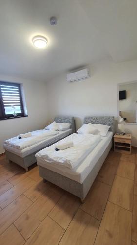 Dolní TěrlickoSki & Wake Resort Těrlicko的配有两张床的客房内。