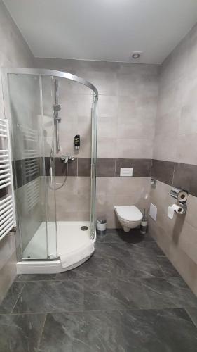 Dolní TěrlickoSki & Wake Resort Těrlicko的带淋浴和卫生间的浴室