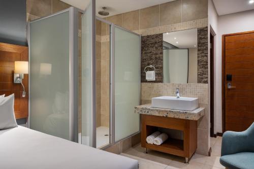 克拉伦斯克拉伦斯万豪Protea酒店的一间带水槽和淋浴的浴室