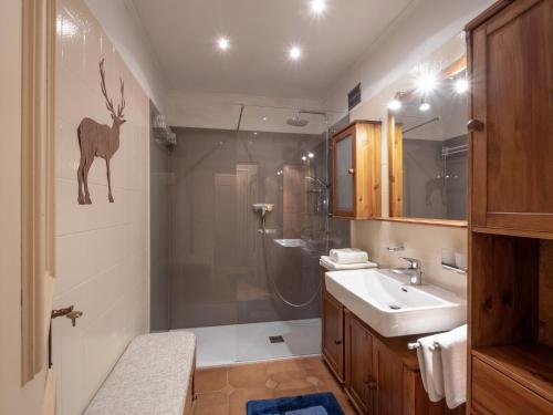埃尔毛Chalet Grizzly的带淋浴、盥洗盆和淋浴的浴室