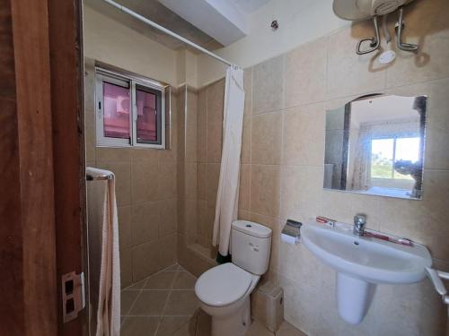 莫希Moshi Leopard Hotel的一间带卫生间和水槽的浴室