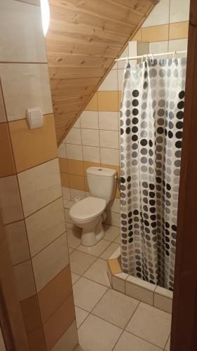 BurniszkiWynajem pokoi-Burniszki的一间带卫生间和淋浴的浴室