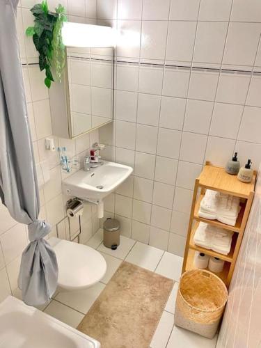 苏黎世Suite 505 nel cuore di Zurigo的白色的浴室设有水槽和卫生间。
