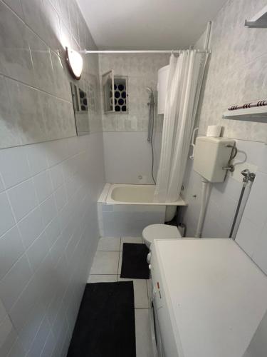 奥西耶克Privatni Smještaj Harmony的一间白色的小浴室,内设卫生间和水槽