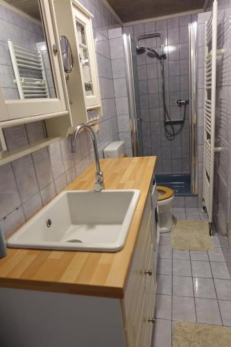 基特塞Alla的一间带水槽和淋浴的浴室