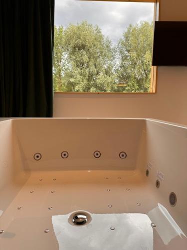 西内Quinze suites et wellness de luxe的带浴缸和窗户的浴室