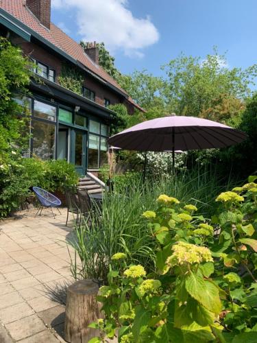 迪尔森-斯托科姆Vakantiehuis ABEL的一个带雨伞和一些植物的庭院