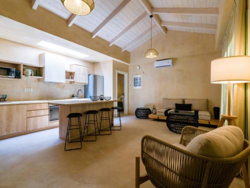 瓦西里科斯Terra Oleana Cottages的开放式厨房以及带沙发和椅子的客厅。