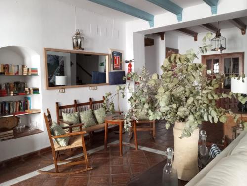 格拉茨莱马Hotel Casa de las Piedras的客厅配有桌子和大植物