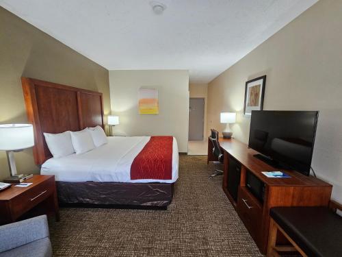杰克逊Comfort Inn Jackson I-40的配有一张床和一台平面电视的酒店客房