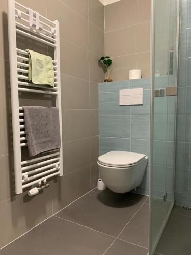 奥洛穆茨Apartmán Šantova的一间带卫生间和玻璃淋浴间的浴室