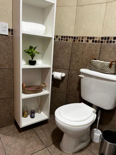 奇莱西托Departamento Cristo del Portezuelo II的浴室设有卫生间和植物架子
